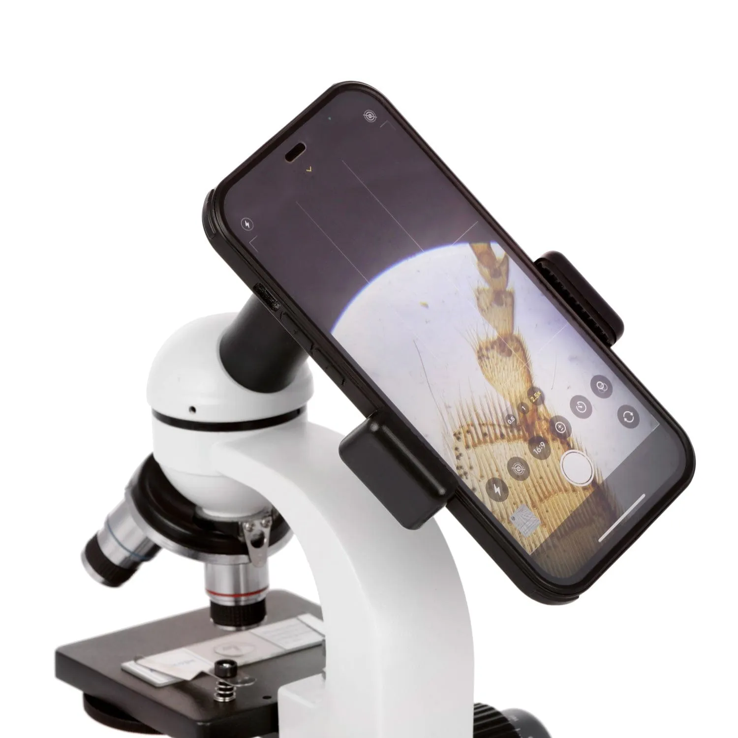 AmScope Smartphone Mount for Compound Microscope