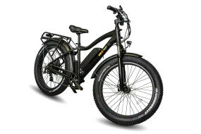 BAM EW-Supreme 750W Electric Bike 48V