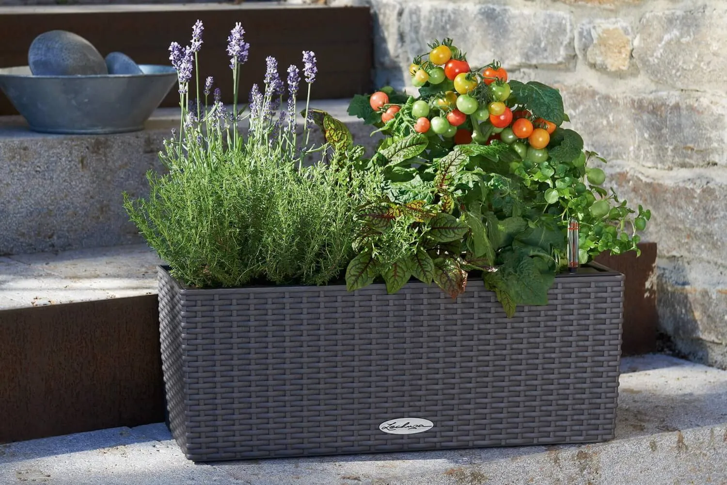 Cottage balconybox with self watering system 50 cm