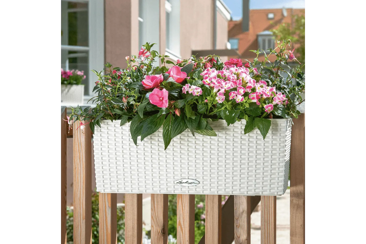 Cottage balconybox with self watering system 50 cm