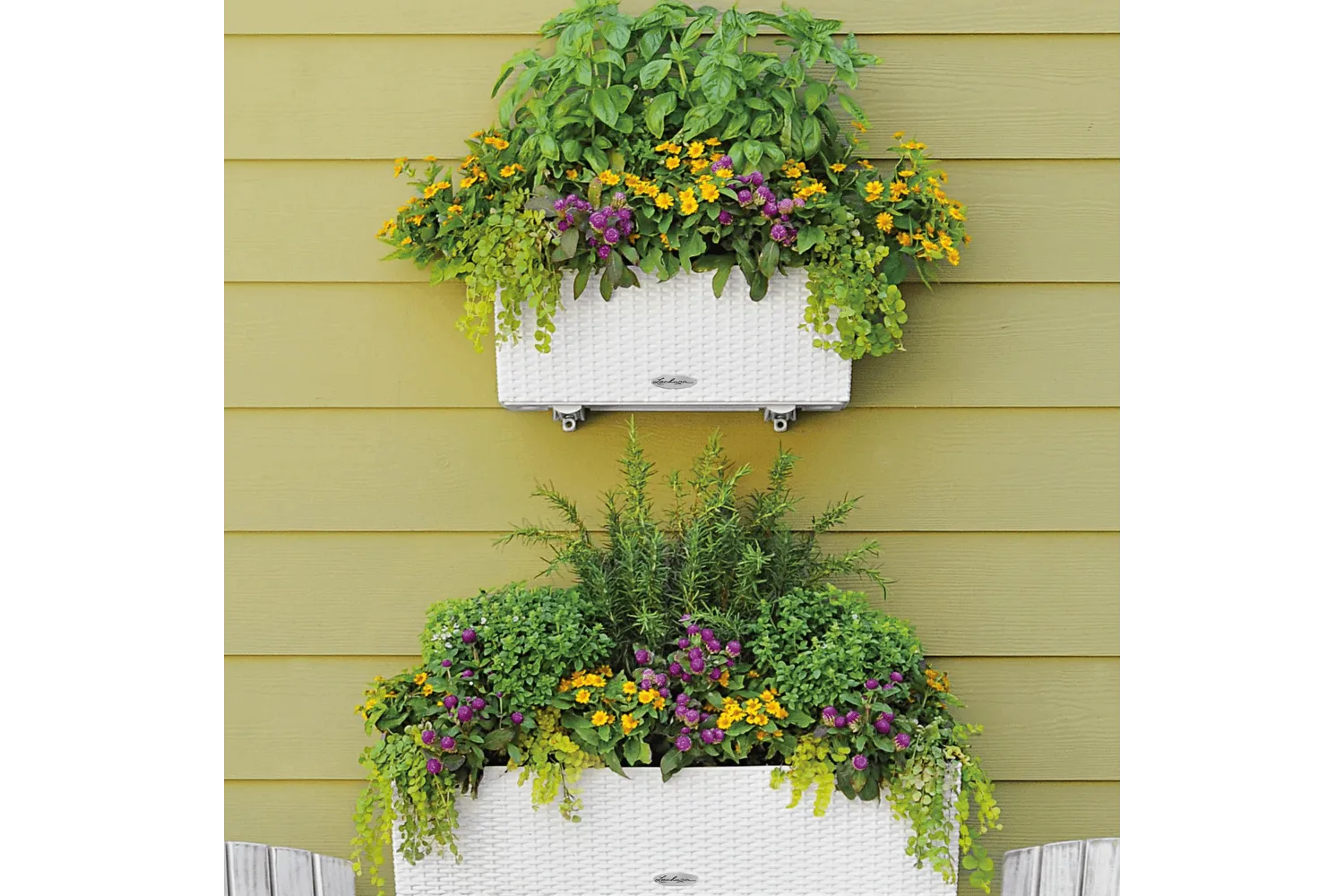 Cottage balconybox with self watering system 50 cm