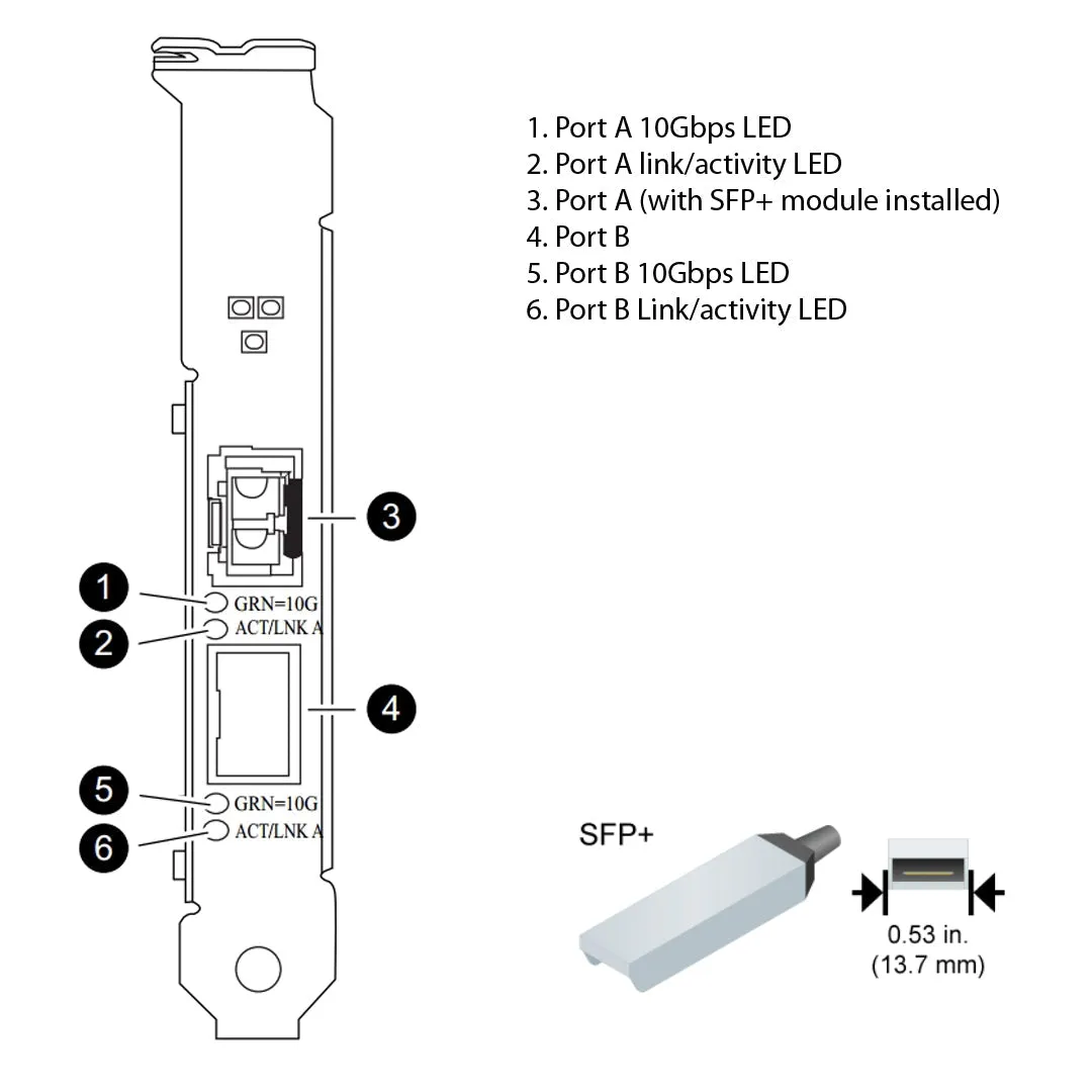 NetApp Adapter X1117A-R6 (ONTAP) 10Gb PCIe bus with plug SFP  (2p 10GbE NIC Cu|Op)