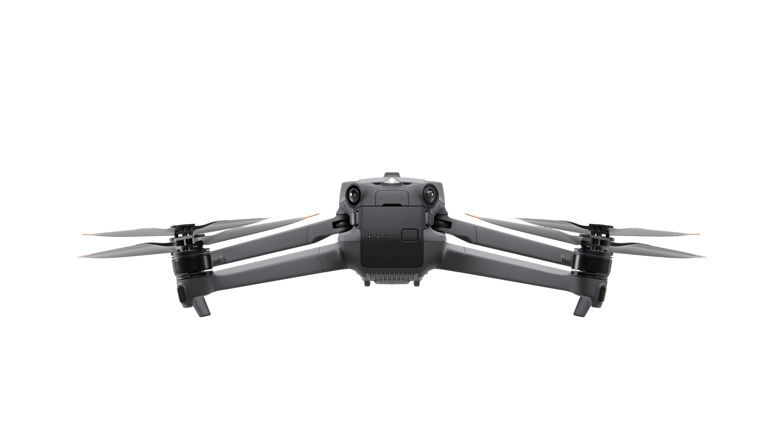 Rental Mavic 3 Enterprise