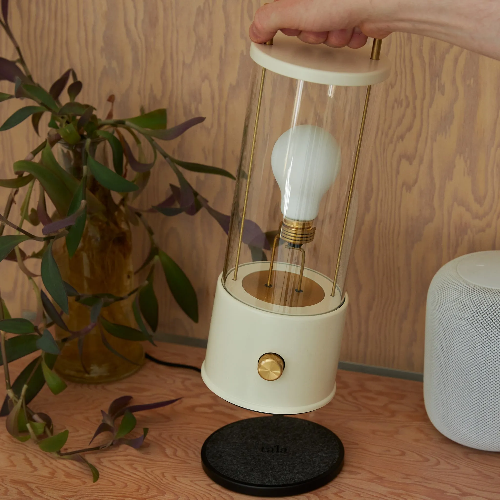 The Muse Portable Lamp in Candlenut White Bundle